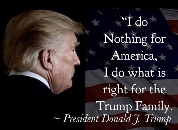 Åsa 🐕🐈🐎 tweet media