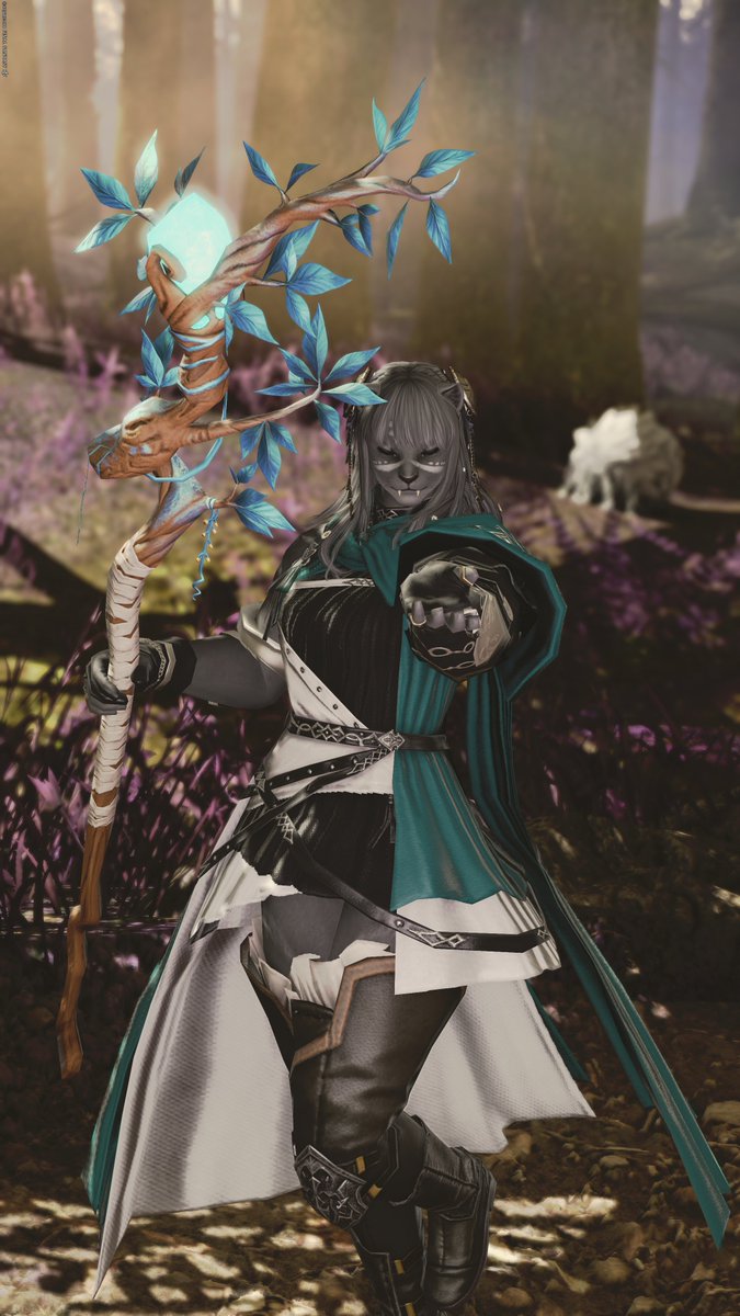 Crenefia tweet media