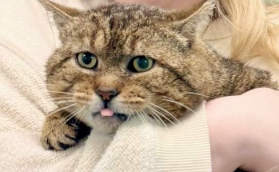 For the love of Missy. tweet media