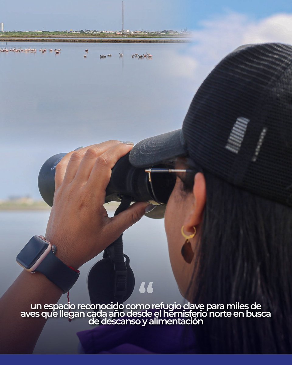 AnaLeonOk's tweet photo. Educación ambiental que deja huella 💚🕊️

Más de 45 niños de José Luis Tamayo vivieron una experiencia en Ecuasal, aprendiendo sobre la conservación de ecosistemas y aves migratorias.

Los niños beneficiados, fueron los del  niños del proyecto PoliScout de la @PoliciaEcuador. https://t.co/HxxBJ3VxRa