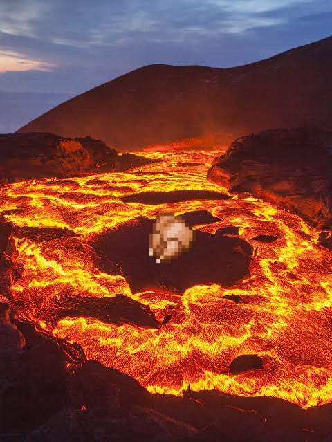 Where is Poultry Man? tweet media