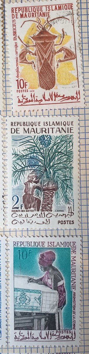 Shane McDonnell tweet media