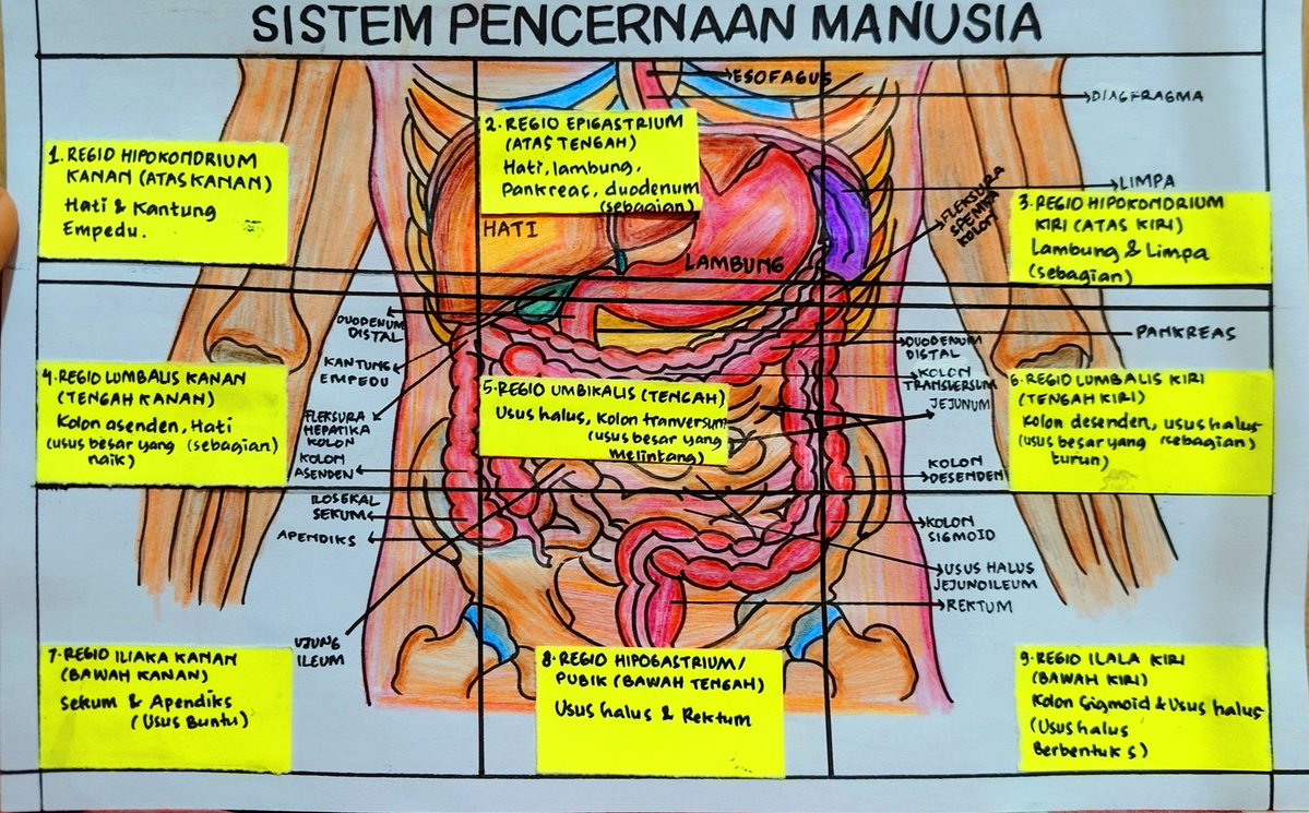 ʚɞ`⊹ tweet media