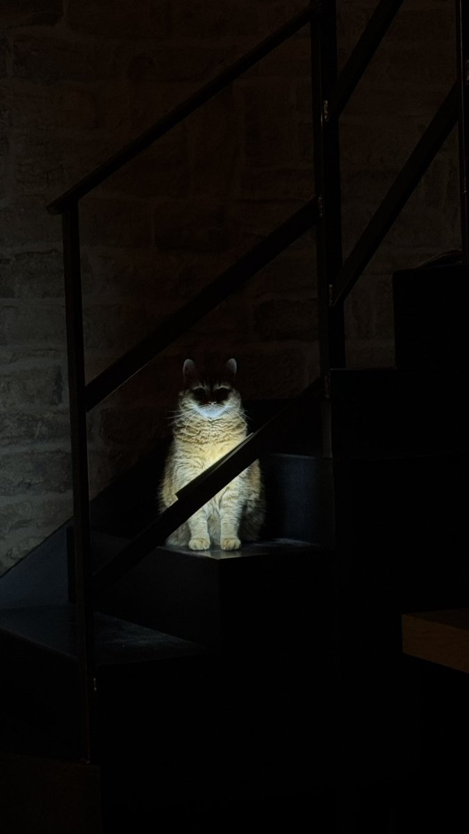 aigristiti 🐒 tweet media