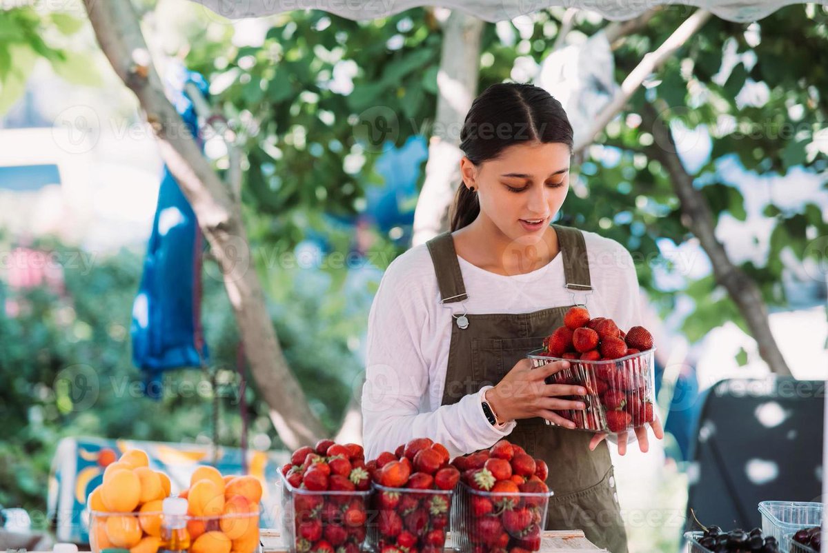 JM Virgili i Ortiga tweet media