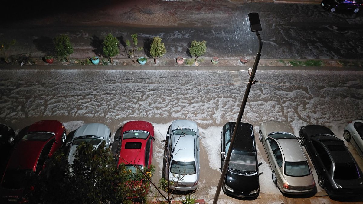 raniaassran tweet media