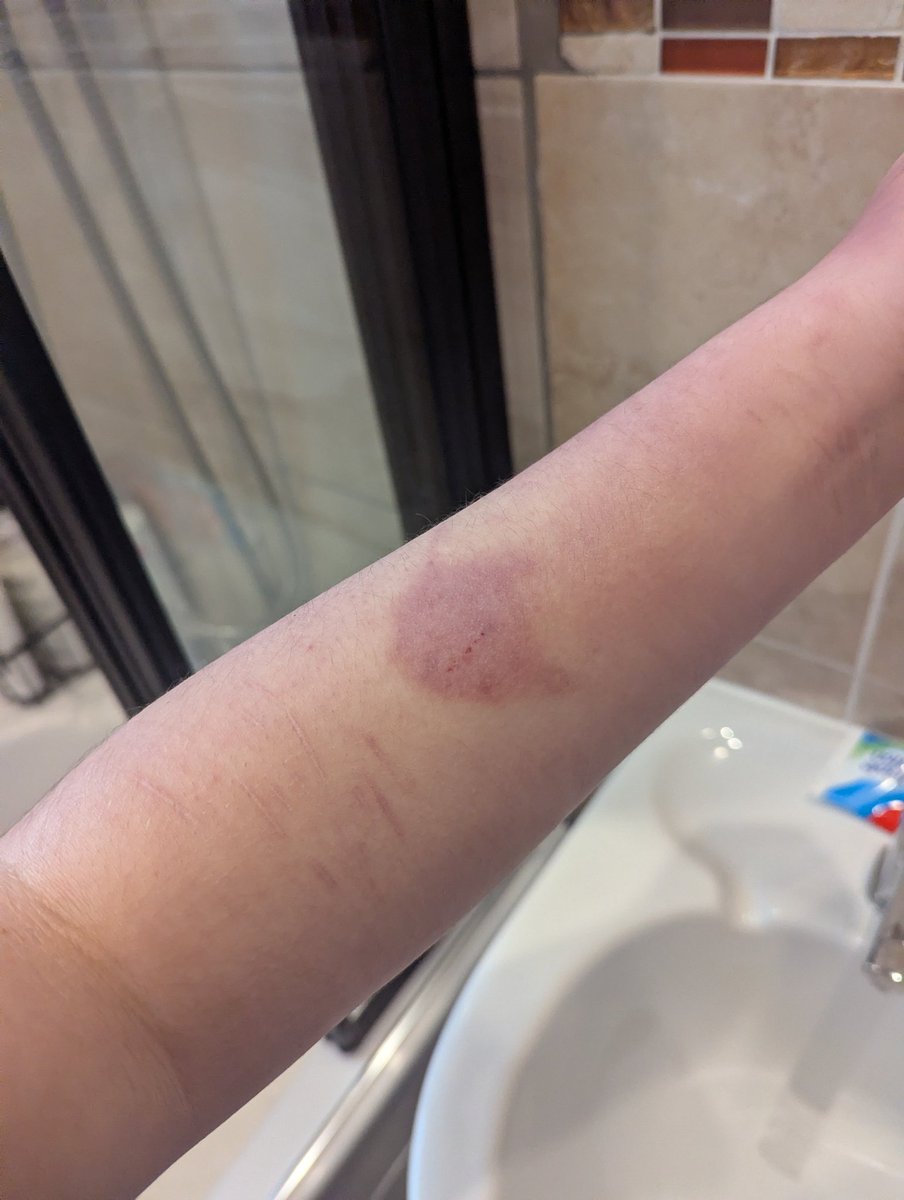 ♪ ✸ korn ✸ ♪ tweet media