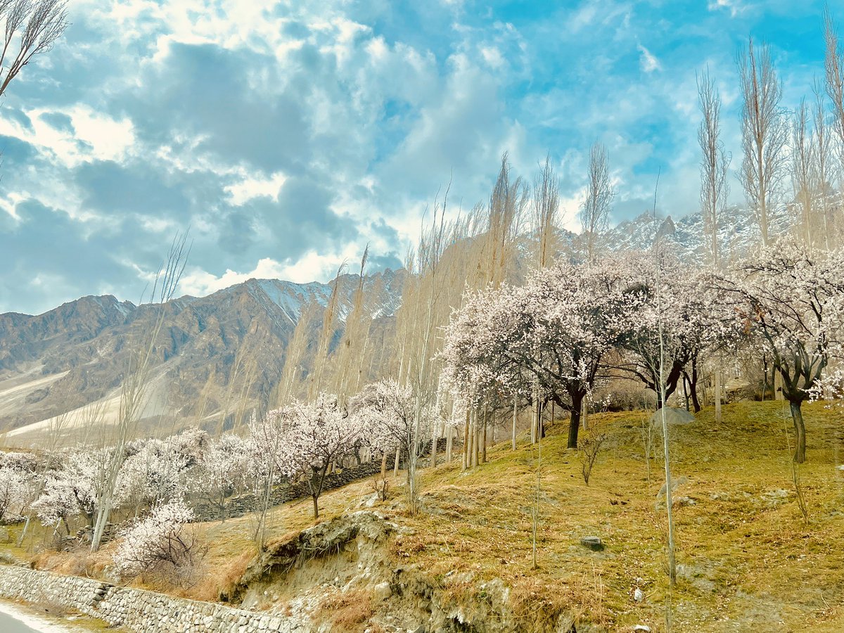 Rizi رض وان tweet media