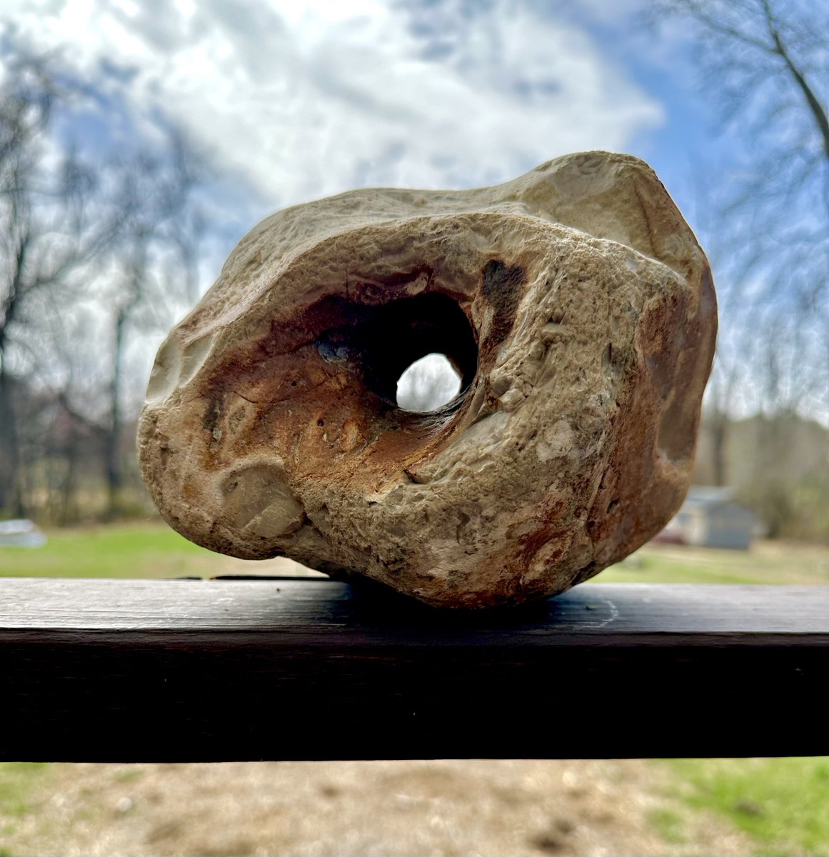 Hey Zeús tweet media