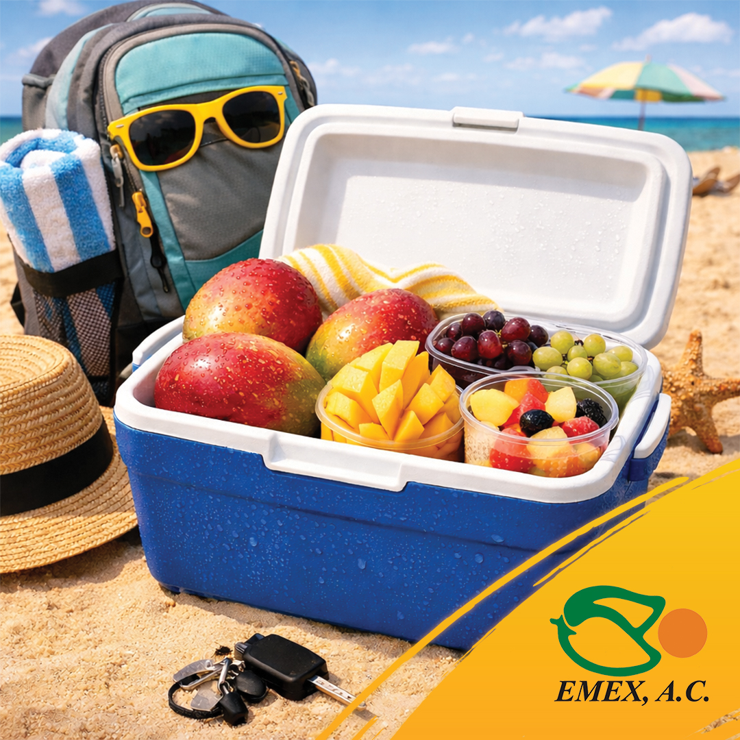 EMEX, A.C. tweet media