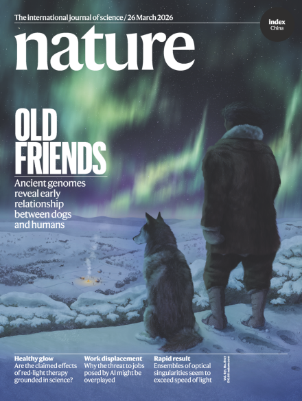 Chris Stringer tweet media