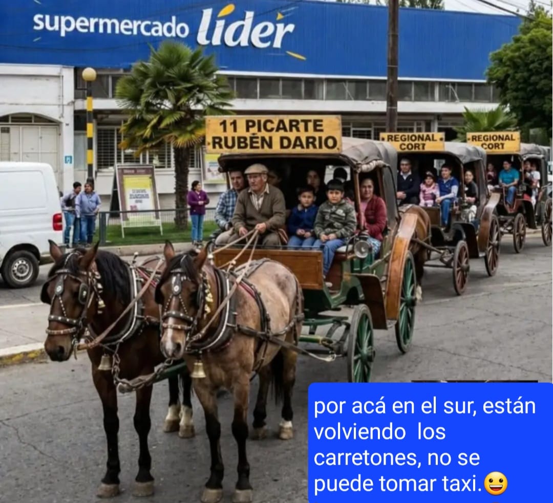 fsobarzol's tweet photo. En Valdivia producto del alza de los combustibles, ya esta de vuelta el transporte público mediante tracción equina 🤣🤣🤣 https://t.co/7rRgDR8IGH