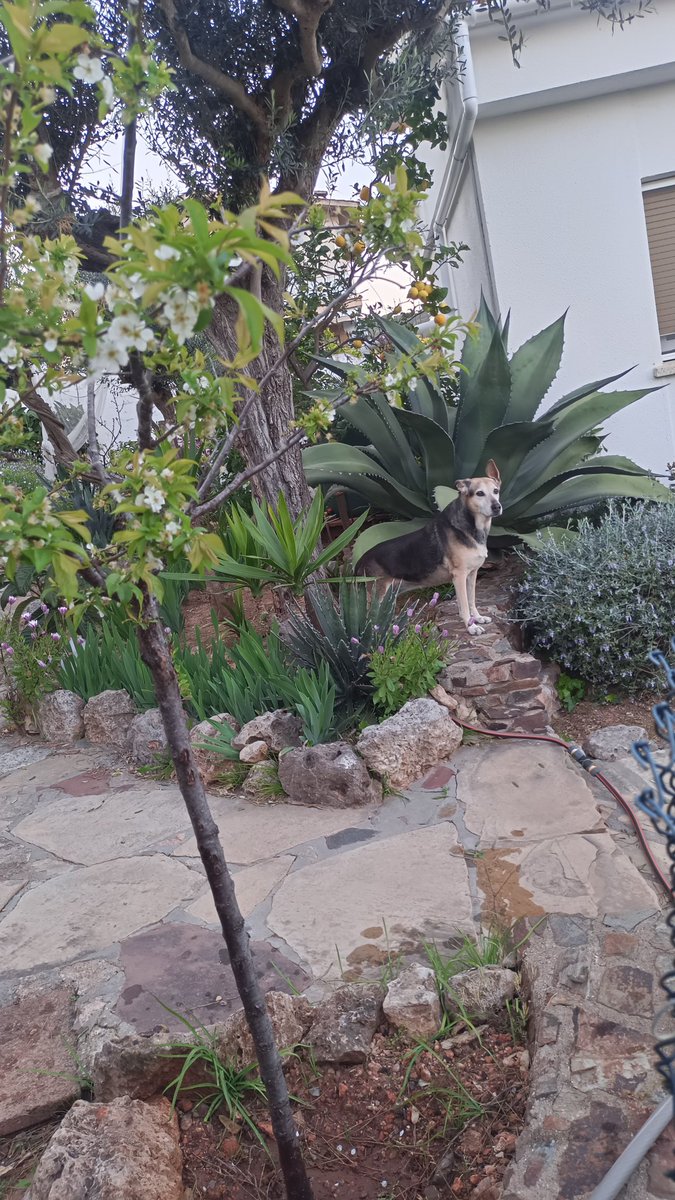 Demi Vall B tweet media