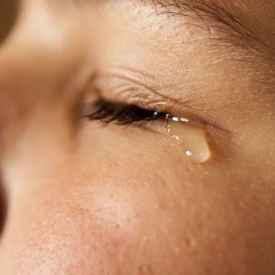 République tweet media