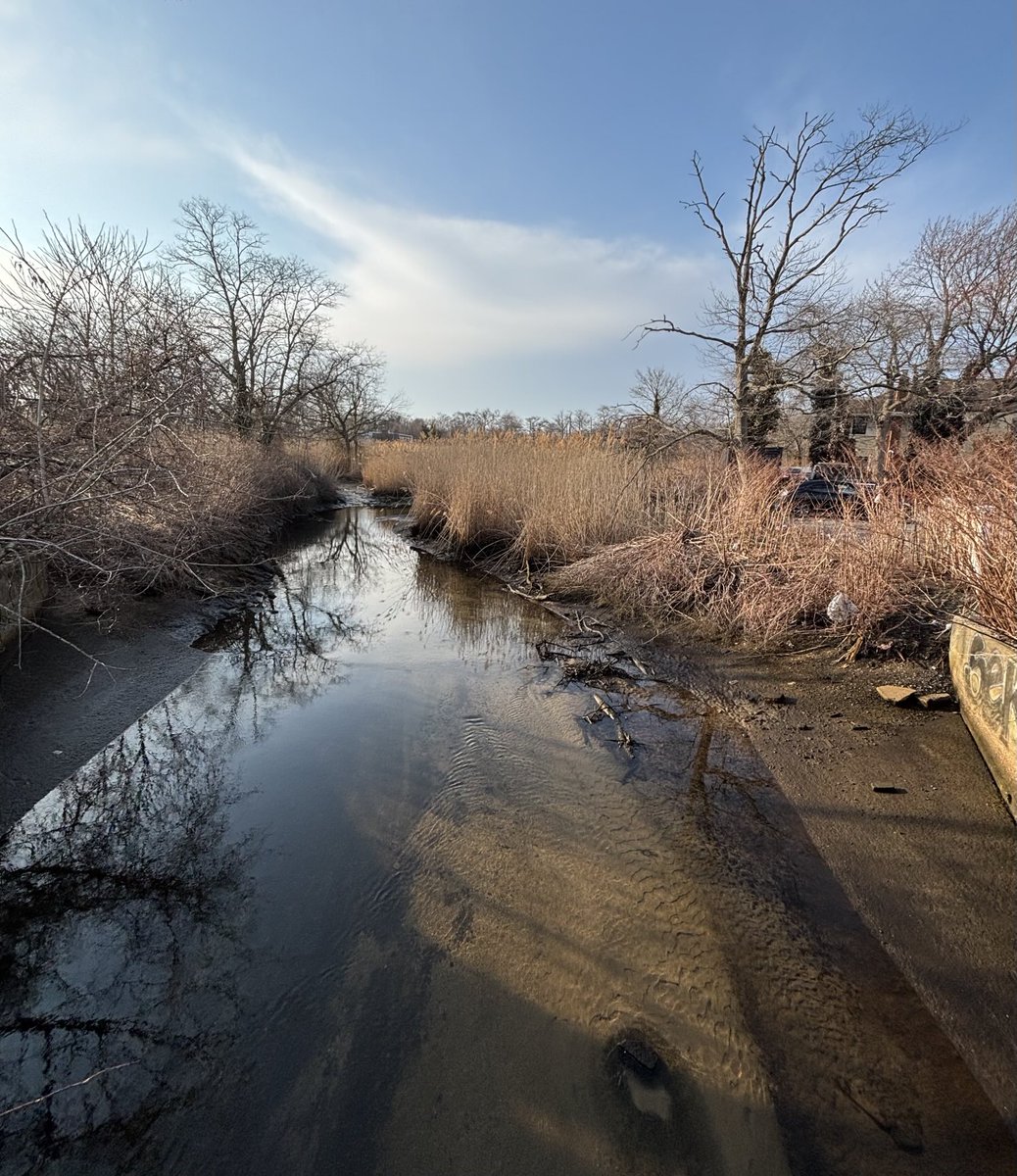 Josh Beckerman tweet media