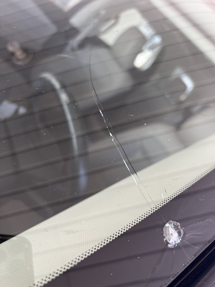 Bruce Lee tweet media