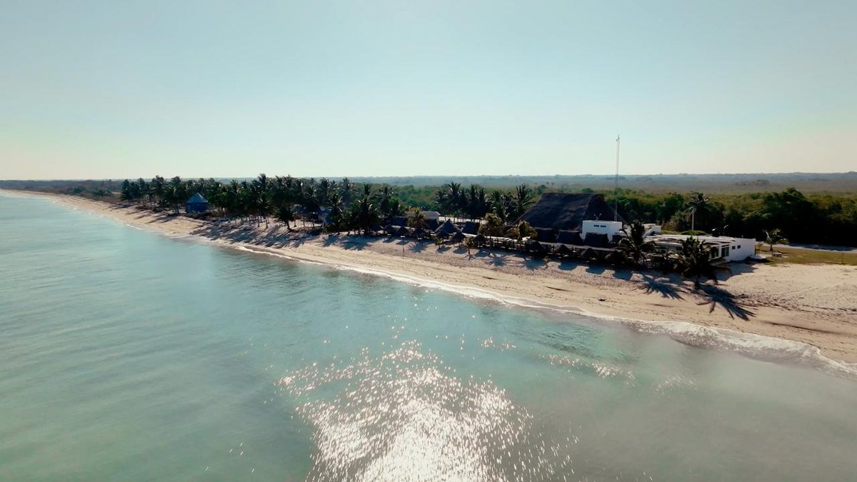 Layda Sansores tweet media