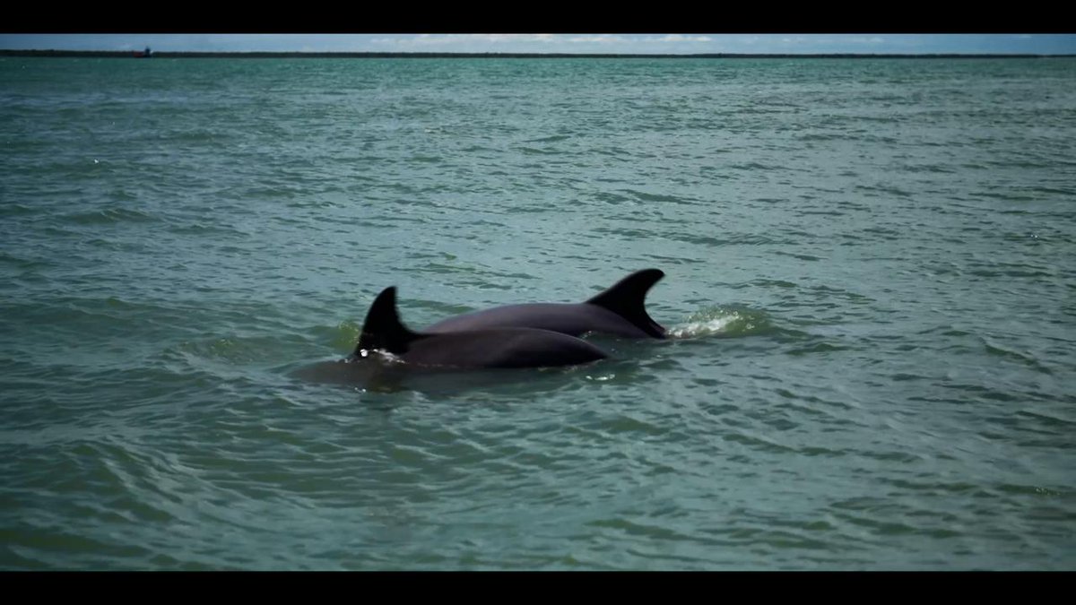 Layda Sansores tweet media