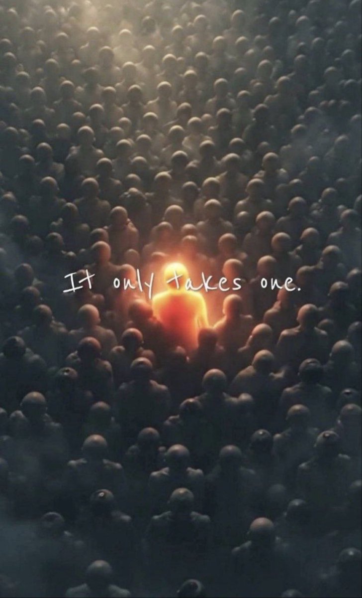 Boone Cutler 🦬🇺🇸 🦅 tweet media