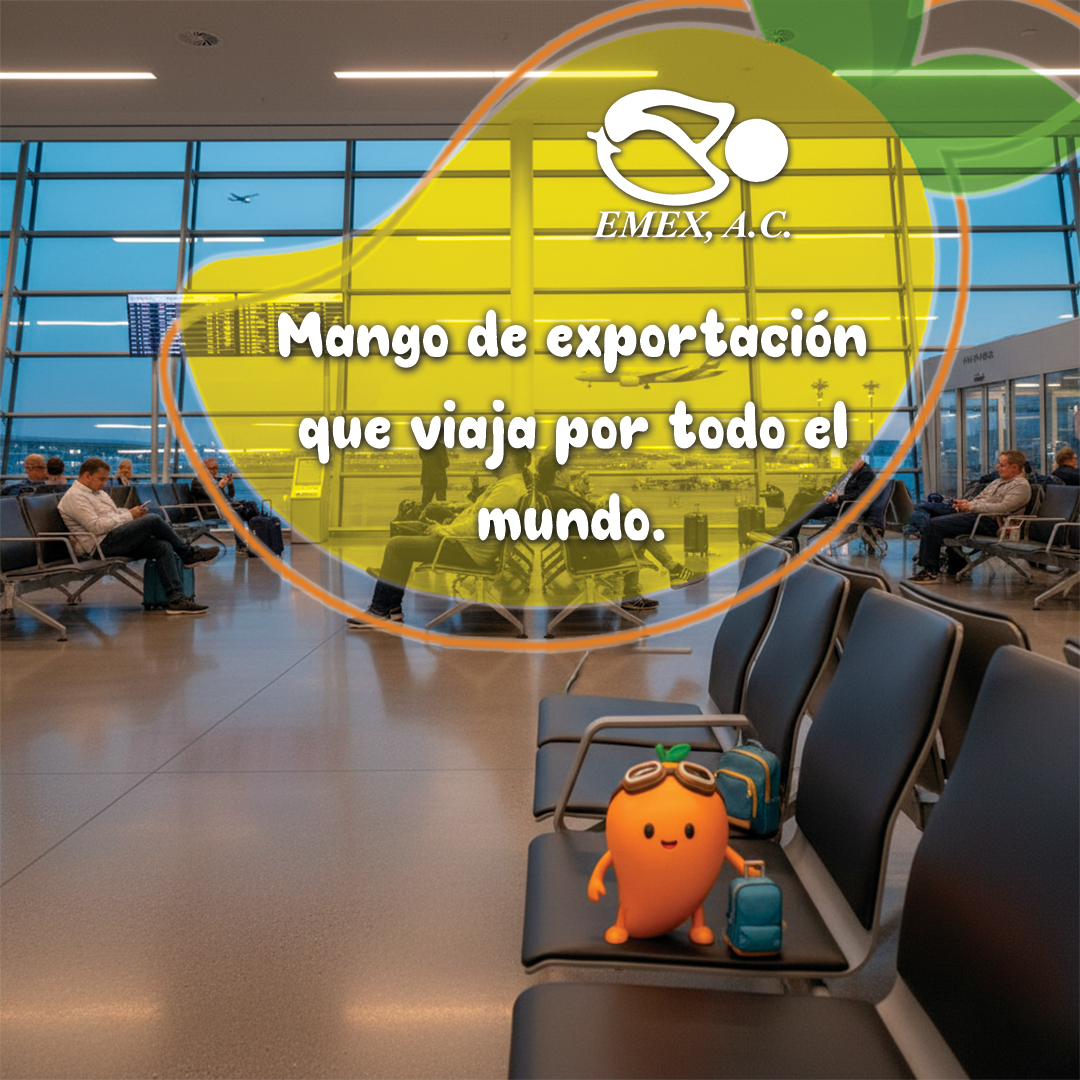 EMEX, A.C. tweet media