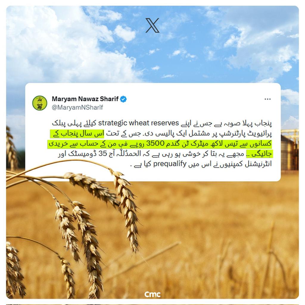 MalikAli tweet media