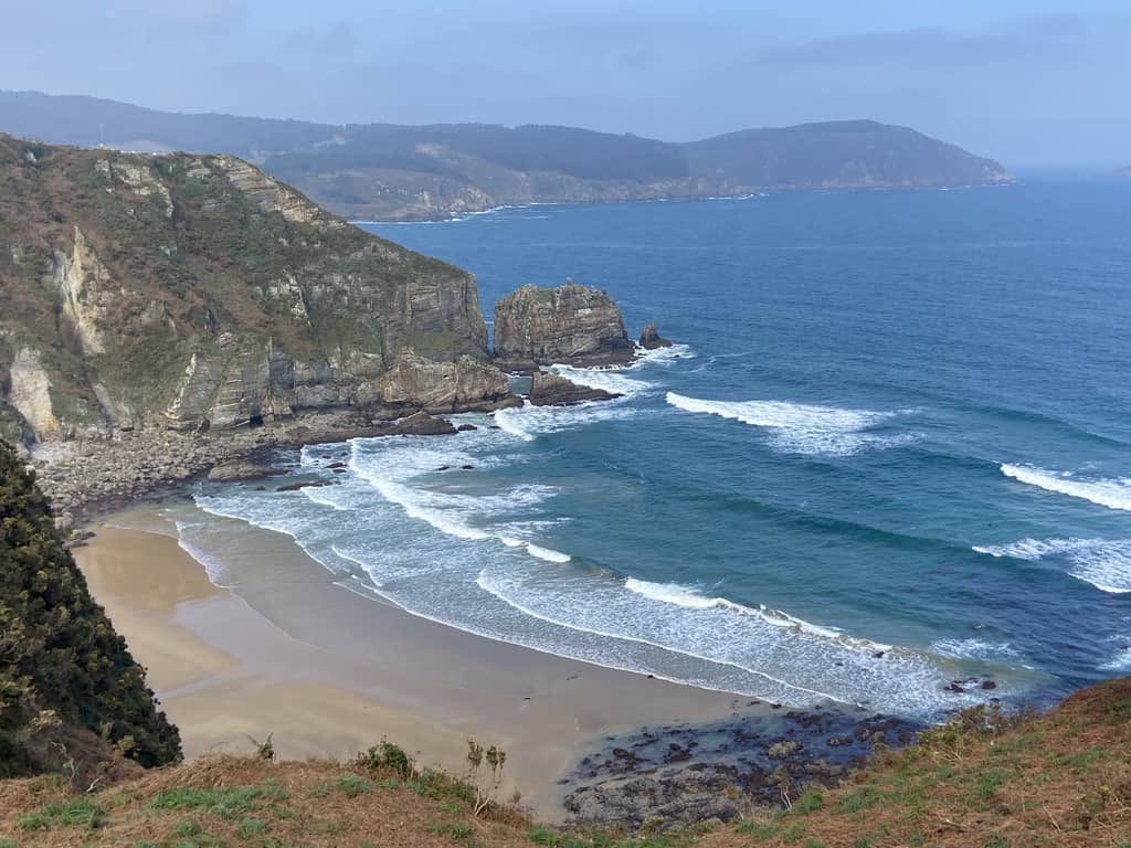 Yendo por la vida tweet media