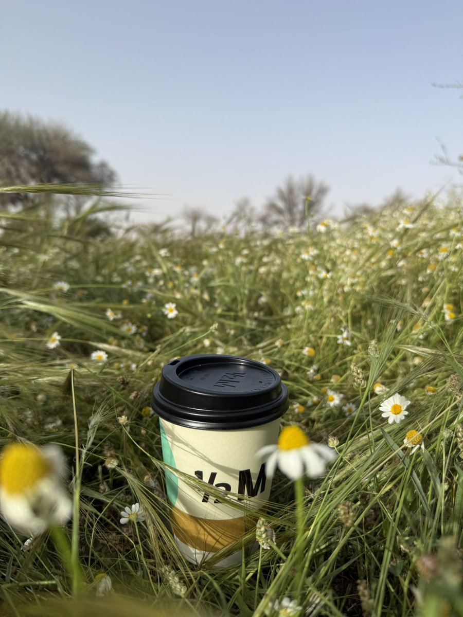 _L9L6's tweet photo. روضة خريم 🌾 https://t.co/2ufJT2hjcj