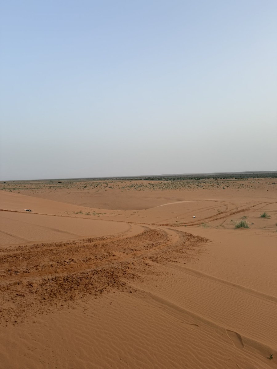 _L9L6's tweet photo. روضة خريم 🌾 https://t.co/2ufJT2hjcj