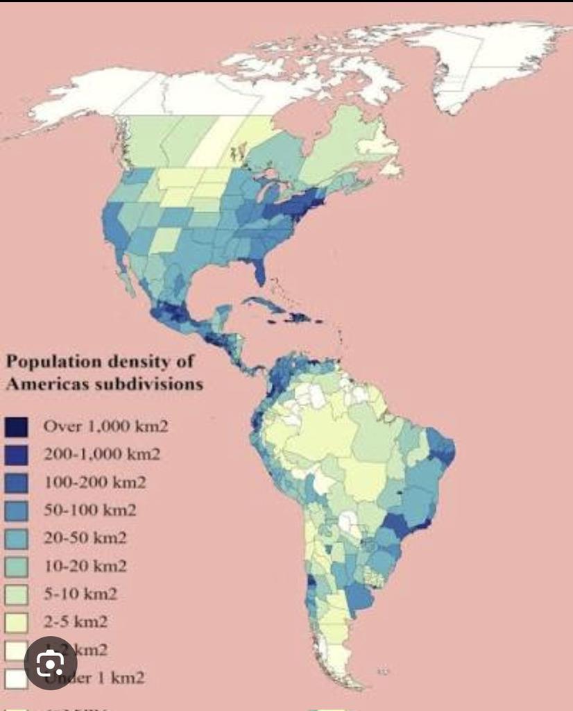 honson abader tweet media