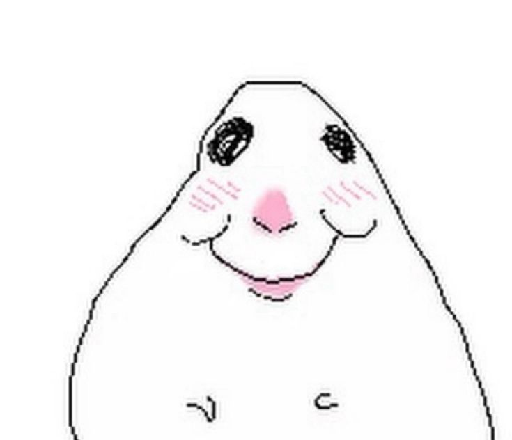 chyrka🍧 tweet media