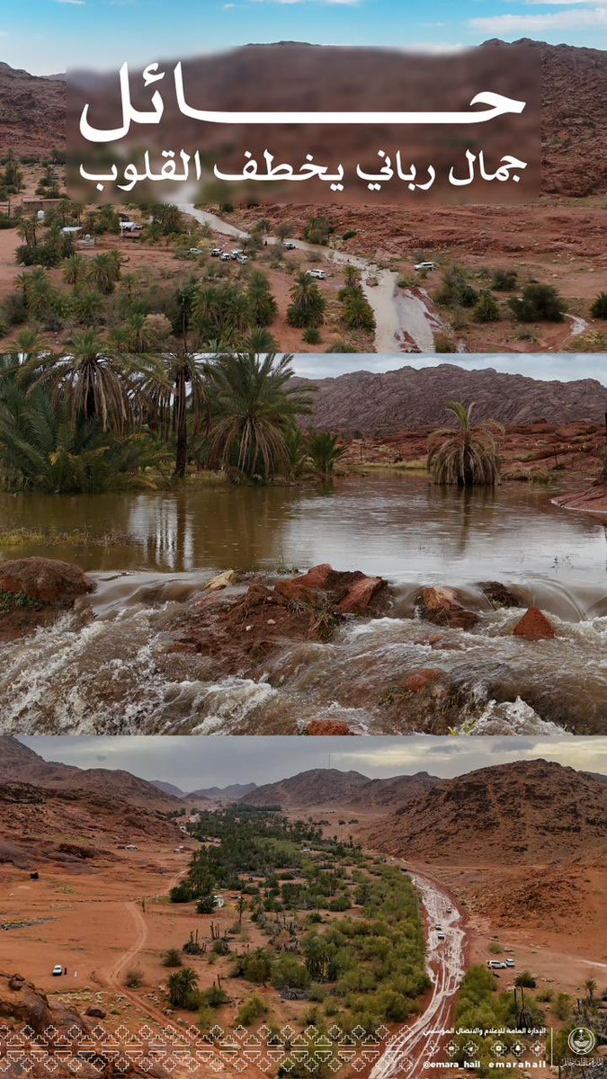 إمارة منطقة حائل tweet media