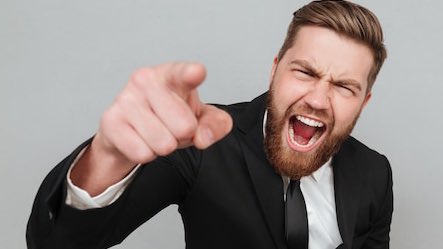 Sebastian Fernandez tweet media