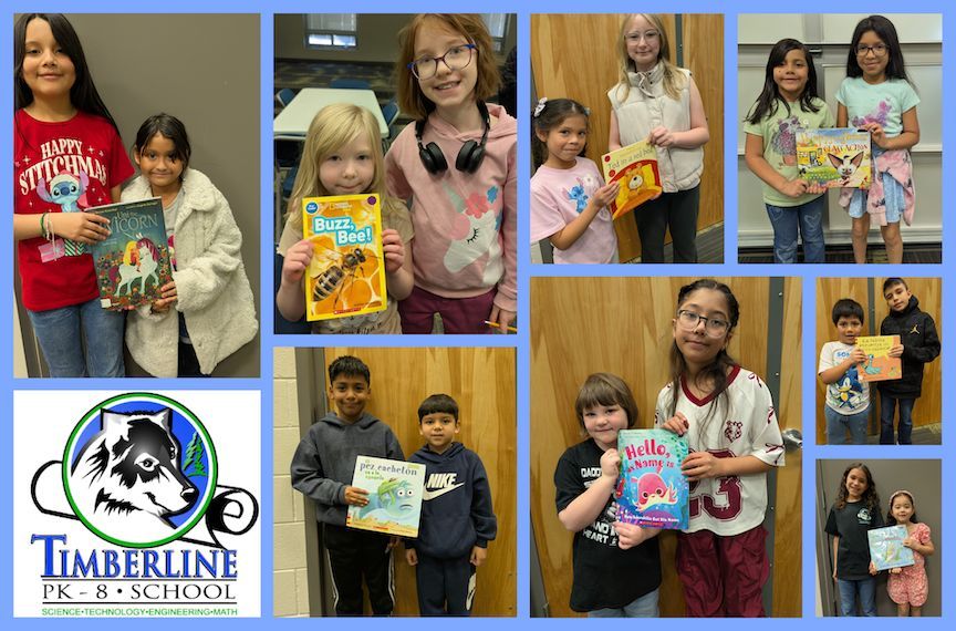 Timberline PK8 tweet media