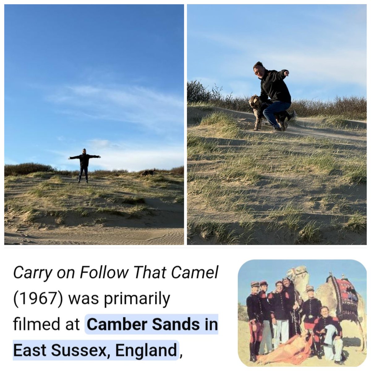 Timmy Alexis Ward 💙 tweet media