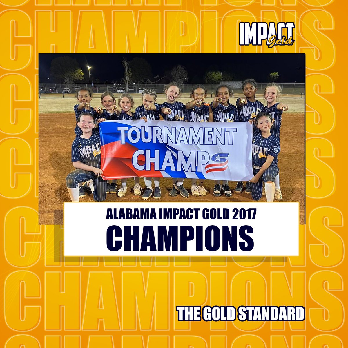 Impact Gold Fastpitch tweet media