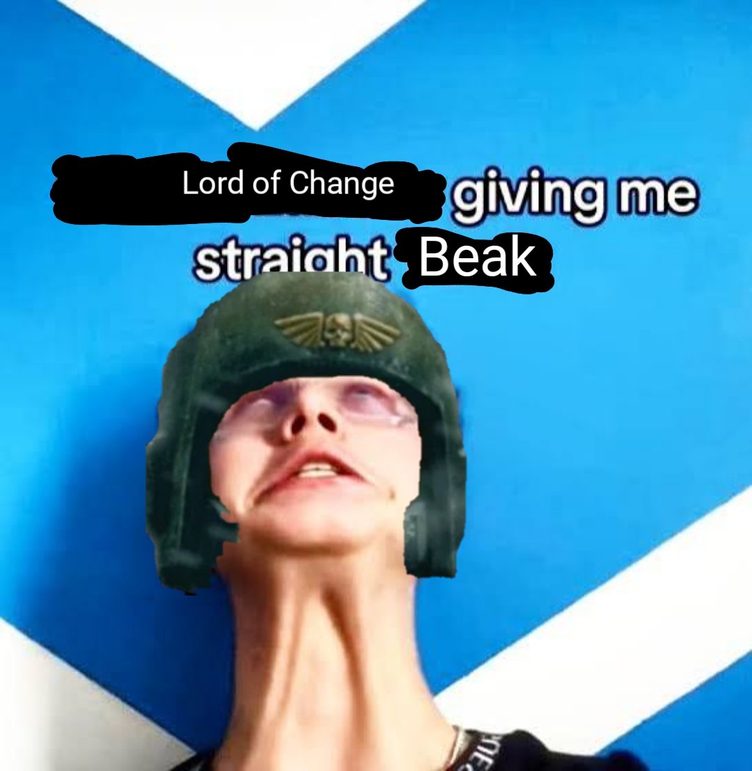 🌺🕊️Robinkehlchen42🕊️🌺 tweet media