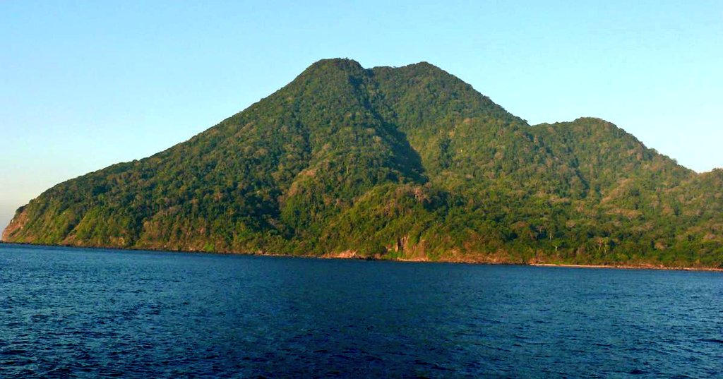 Tribal Army tweet media