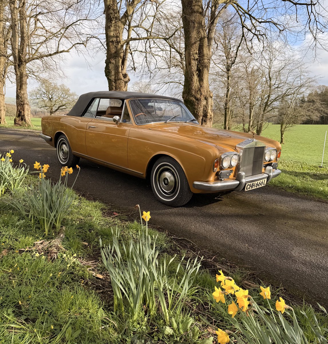 Lawrence Whittaker tweet media