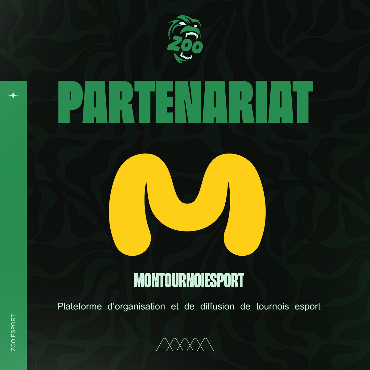 Le ZOO esport tweet media