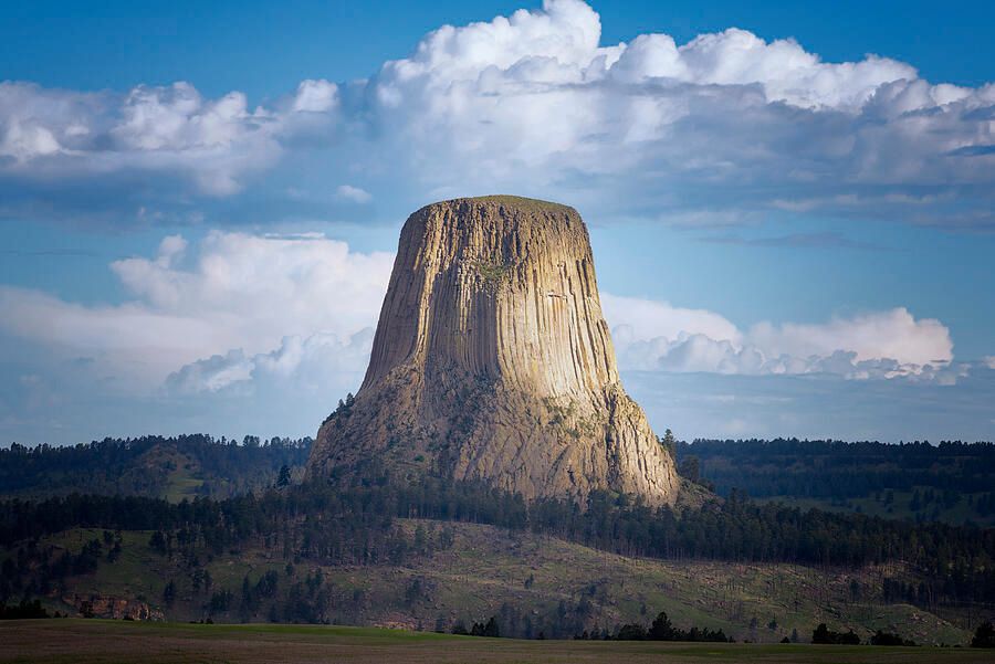 Joan Carroll tweet media