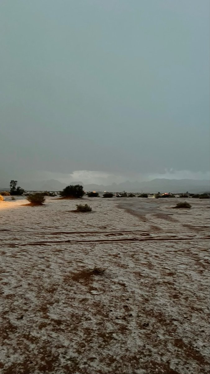 faisal | tweet media