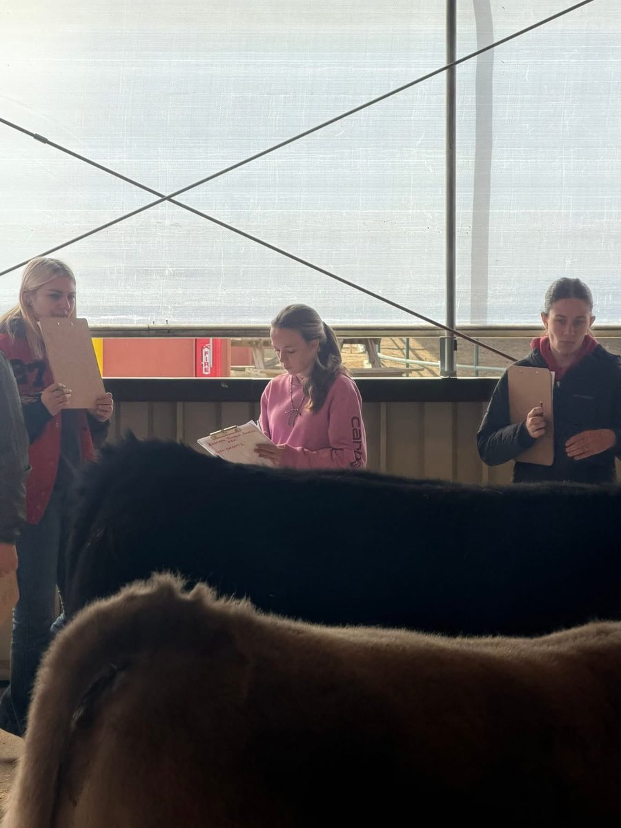 Jordan Michael tweet media