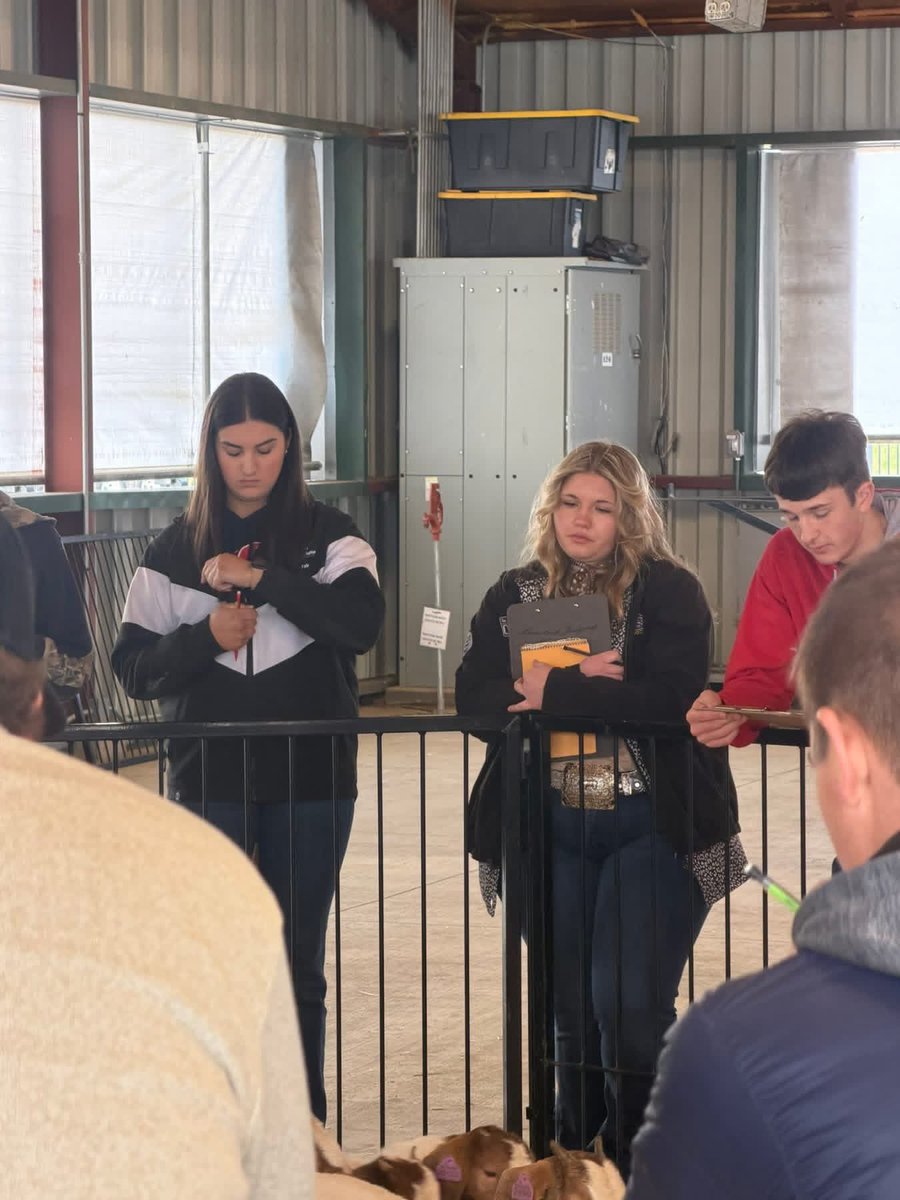 Jordan Michael tweet media