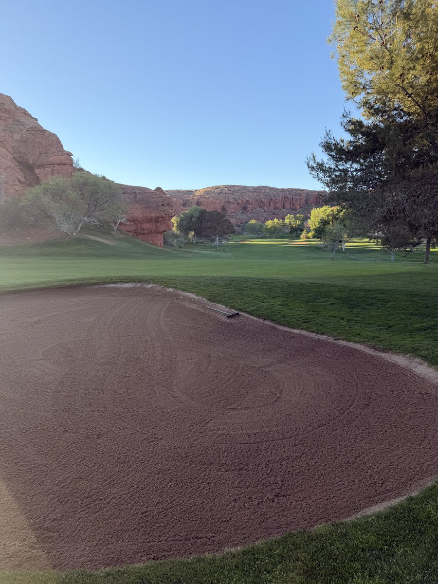 Blair Frei tweet media