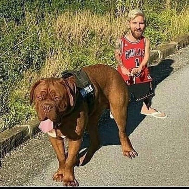 Wayfarty's tweet photo. @dev_maims Take the dawgs out https://t.co/oTmWou2pMD