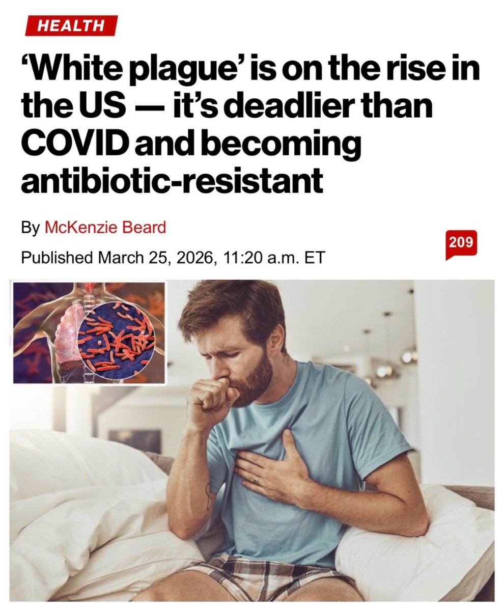 Liz Churchill tweet media