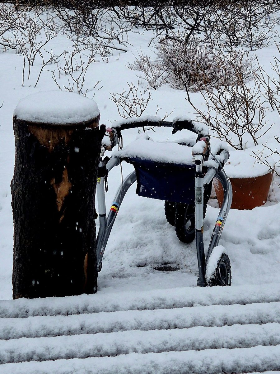 Trionic_Veloped's tweet photo. Happy Hump Day!
#trionic #walker #rollator #outdoor #adventure #travel #giftidea #disability #accessibility #summer #ms #parkinsons #exploring #camping #ataxia #beach #trails #HappyHumpDay #walking #BTC #active #PhysicalTherapy #WednesdayMotivation #wednesdaythought #winter #walk https://t.co/Uy24cos8Wf