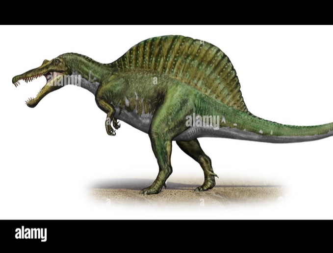 katydidposting 𓆧 tweet media