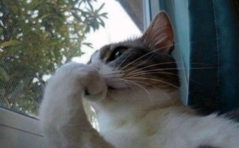 mins🪭 tweet media