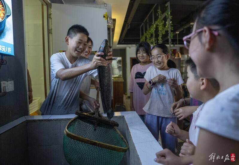 Nico Gudiño CARP tweet media